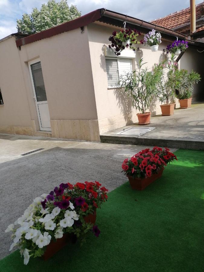Villa Ros Guest House Szvilengrad Kültér fotó