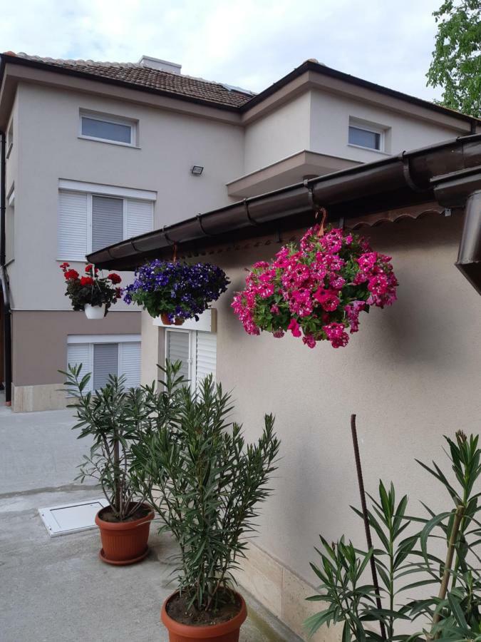 Villa Ros Guest House Szvilengrad Kültér fotó