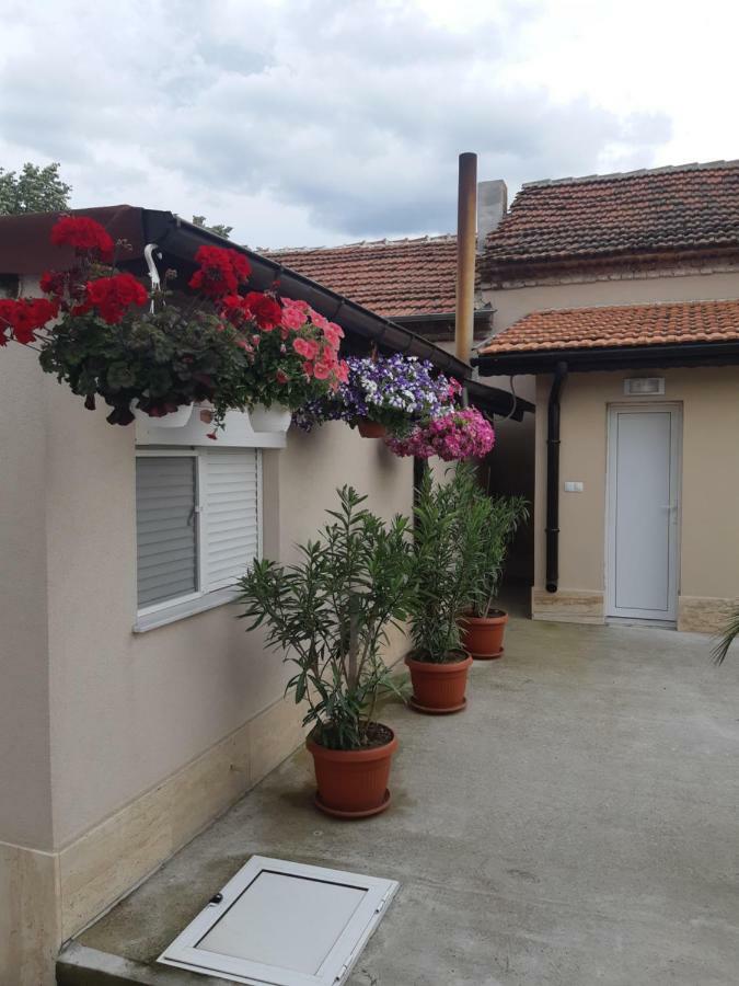 Villa Ros Guest House Szvilengrad Kültér fotó