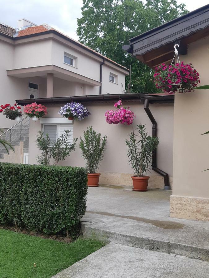 Villa Ros Guest House Szvilengrad Kültér fotó