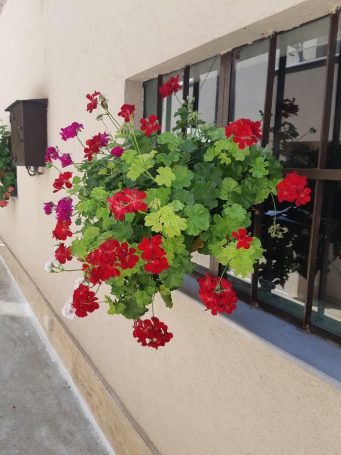 Villa Ros Guest House Szvilengrad Kültér fotó