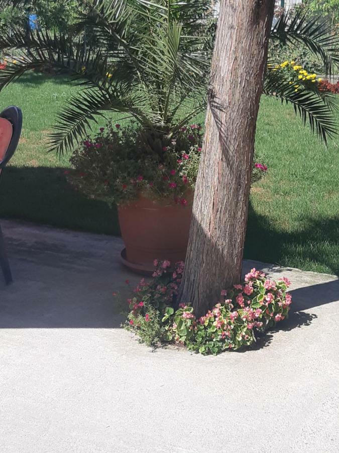 Villa Ros Guest House Szvilengrad Kültér fotó