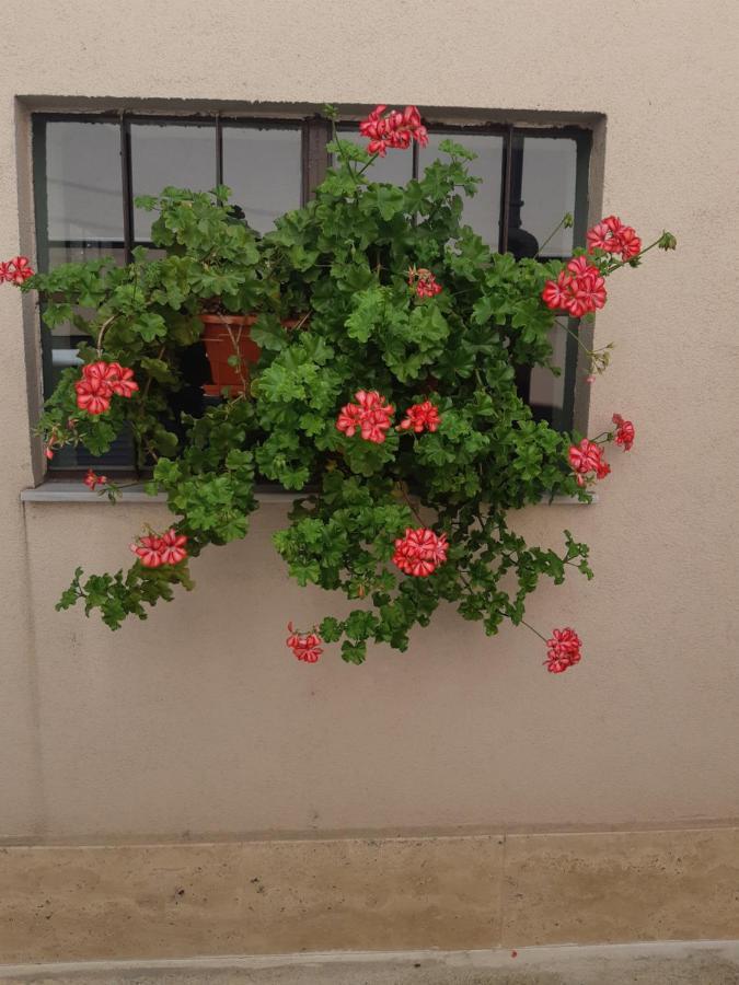 Villa Ros Guest House Szvilengrad Kültér fotó