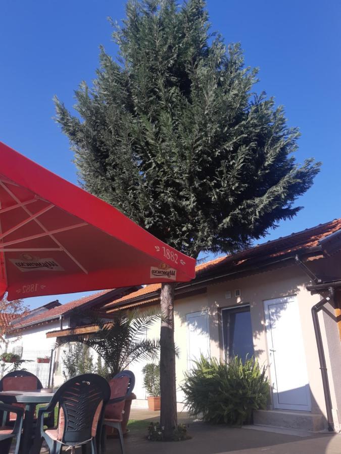 Villa Ros Guest House Szvilengrad Kültér fotó